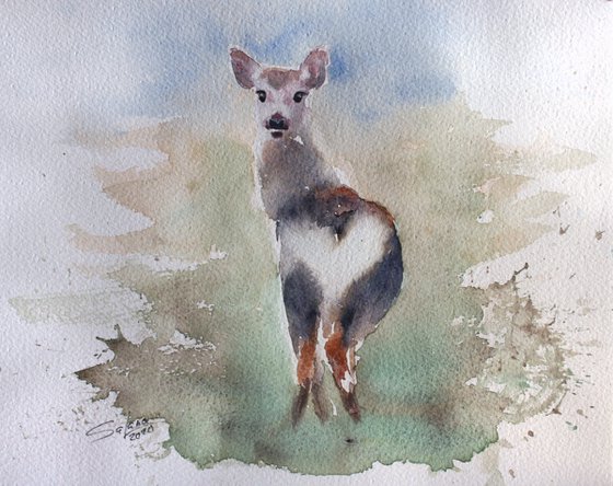 Roe Deer /  ORIGINAL PAINTING