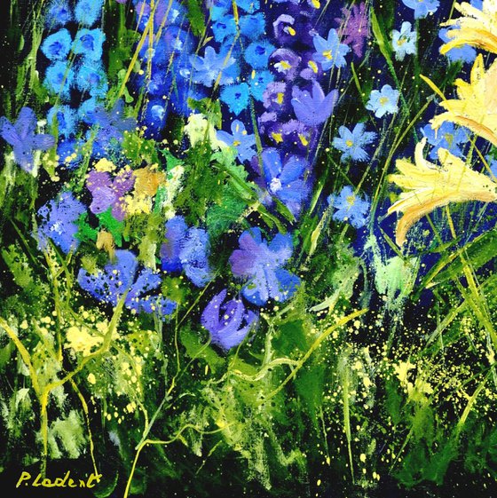 Garden flowers  -5623