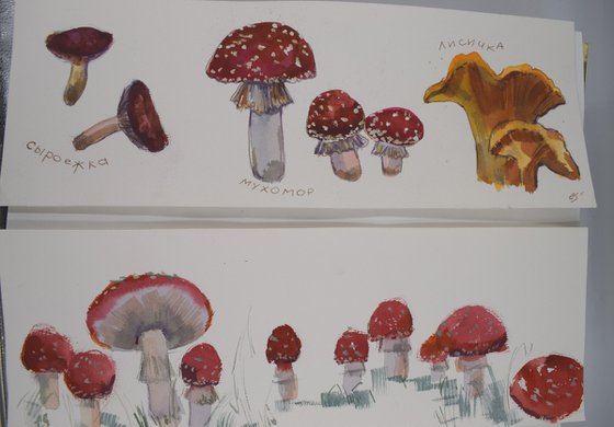Mushroom season