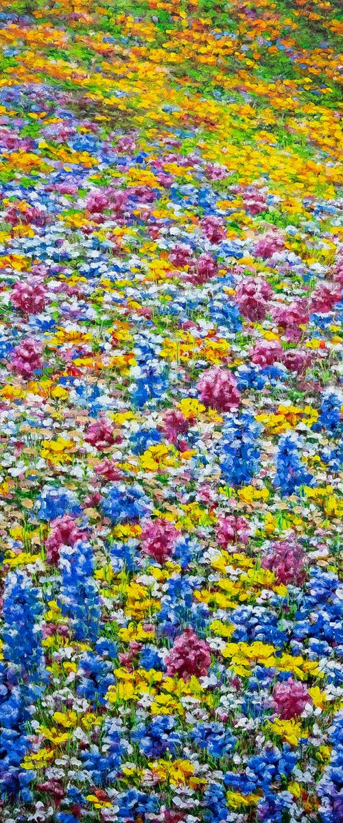 A Field of Flowers. by Anastasia Woron