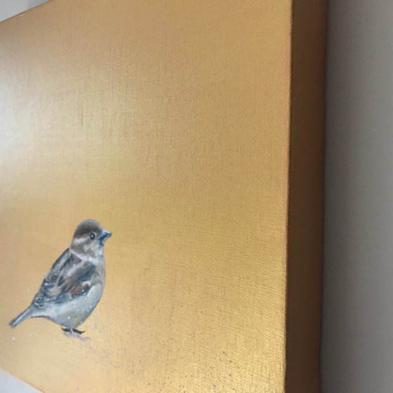 My Little Sparrow ~ on Gold