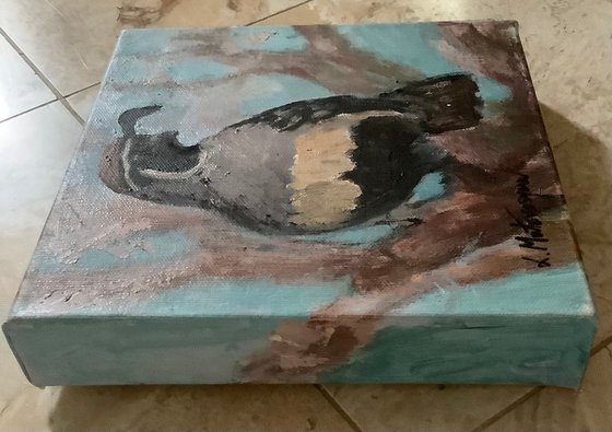 Gamble’s Quail