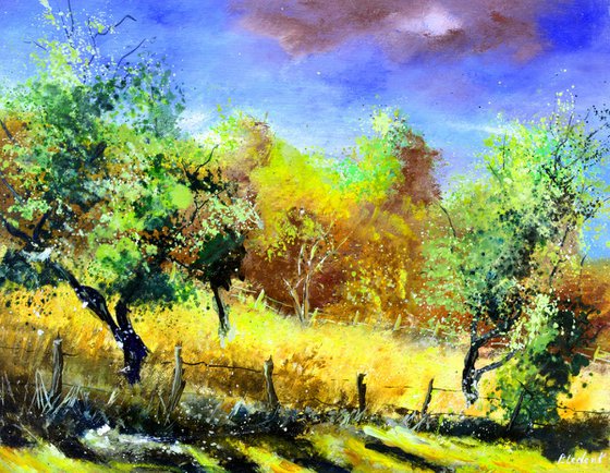 Orchard in spring -5424
