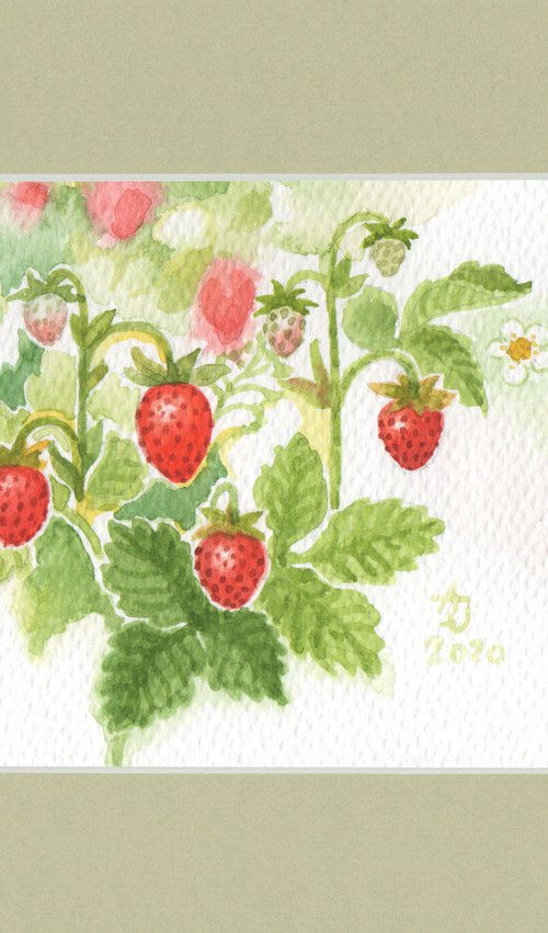 Spring is coming - Wild strawberries by Jolanta Czarnecka