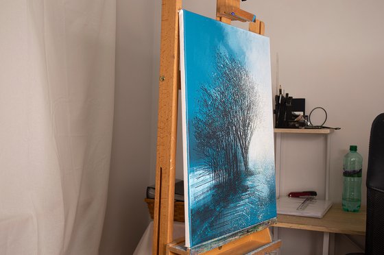 Trees In Morning Mist