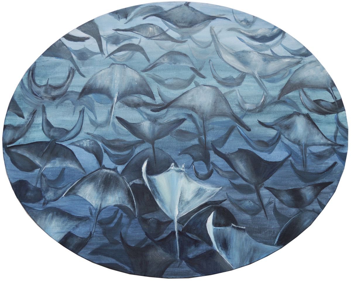 Animal Acrylic Painting By Jacqueline Talbot, 20 X 16, Mobula Ray Migration, Original Artwork