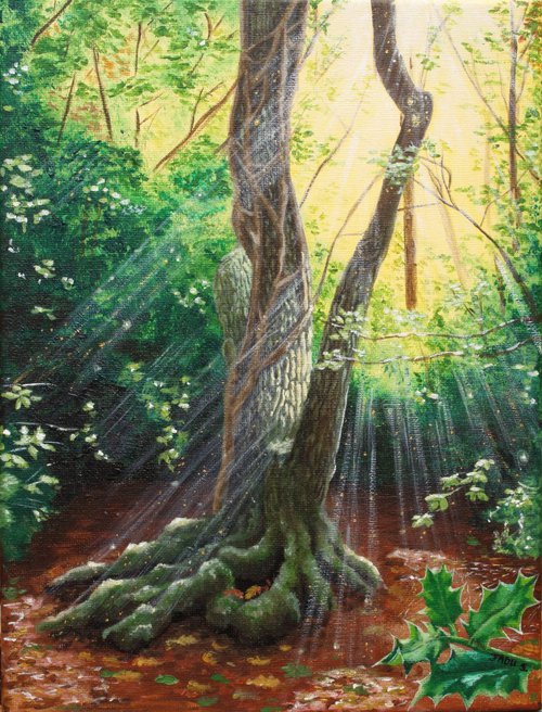 Evening sunshine - trees by Jadu Sheridan