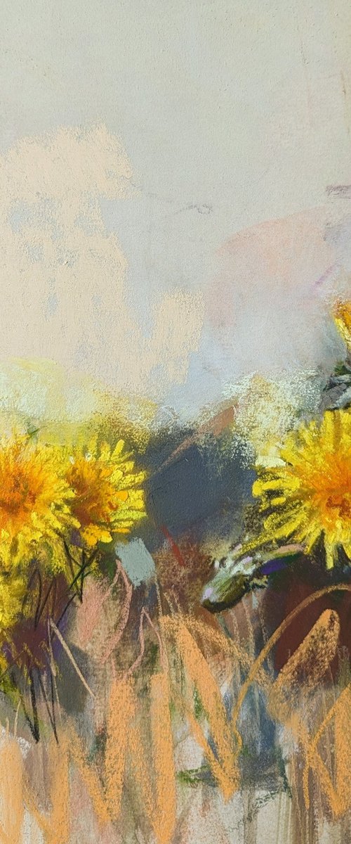 Dandelions 5`24 by Silja Salmistu