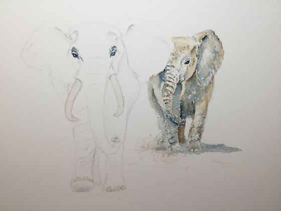 Elephants