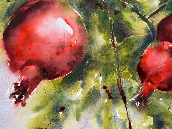 pomegranate 3 - watercolor painting