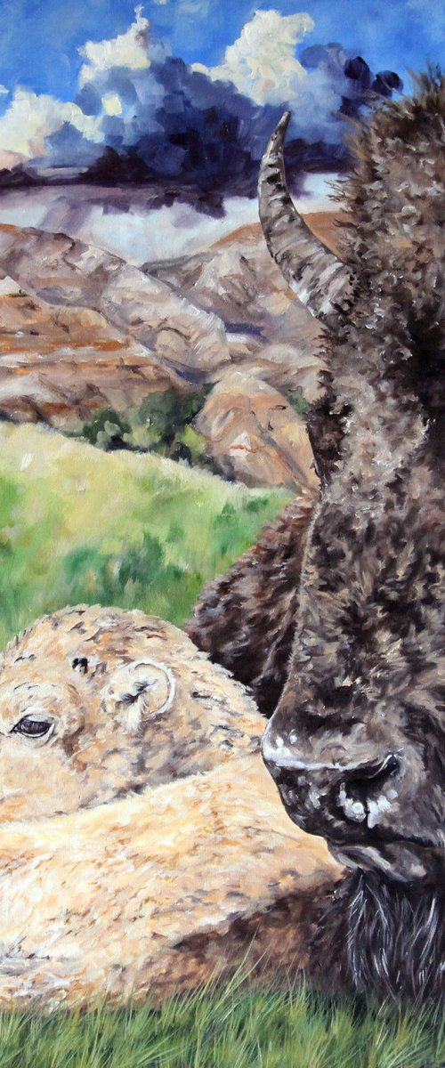 "A Mothers Watchful Eye" - Wildlife - Bison - Landscape by Katrina Case