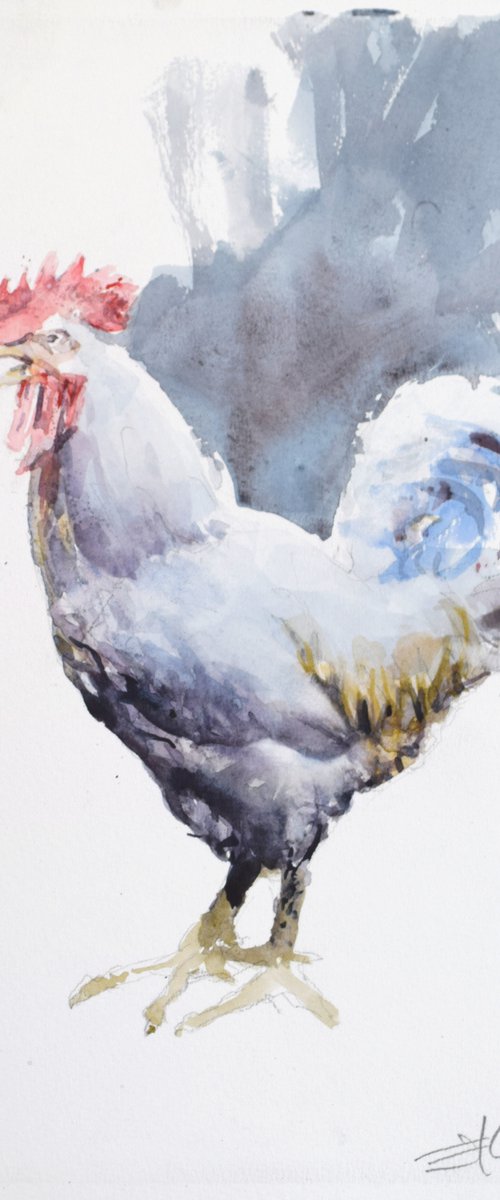 Rooster by Goran Žigolić Watercolors