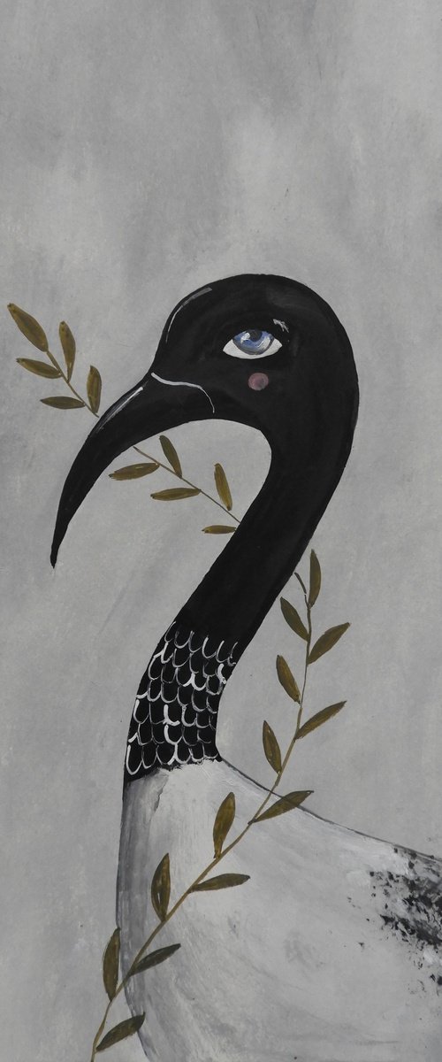 The Sacred Ibis by Silvia Beneforti