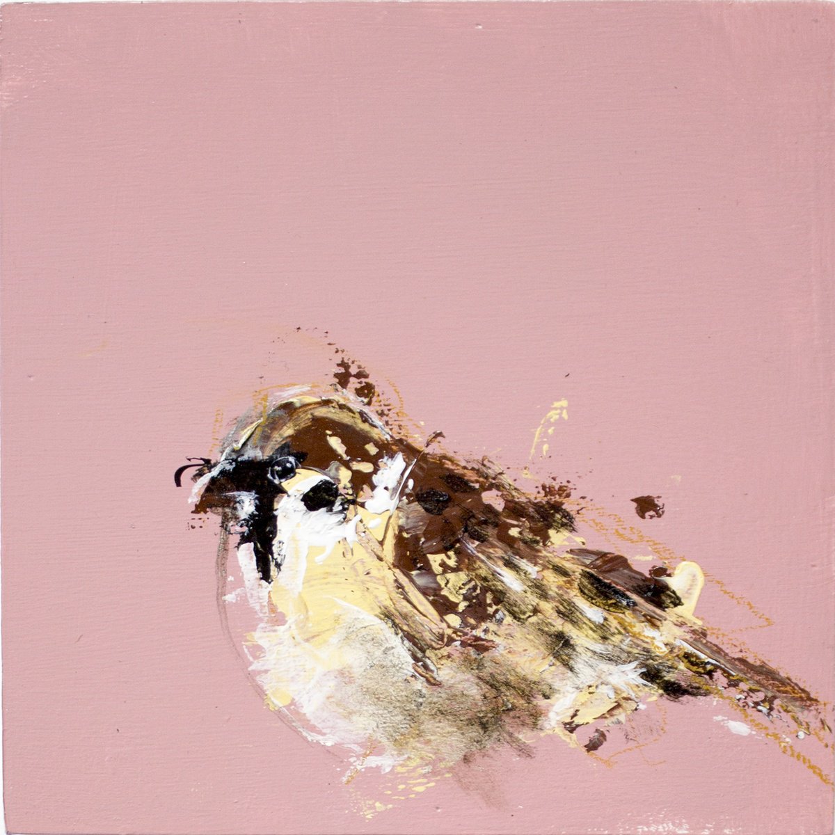 Happy piou Sparrow by Laurent Bergues