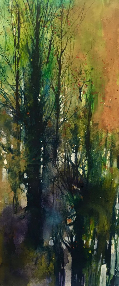 Abstract woods by Alessandro Andreuccetti