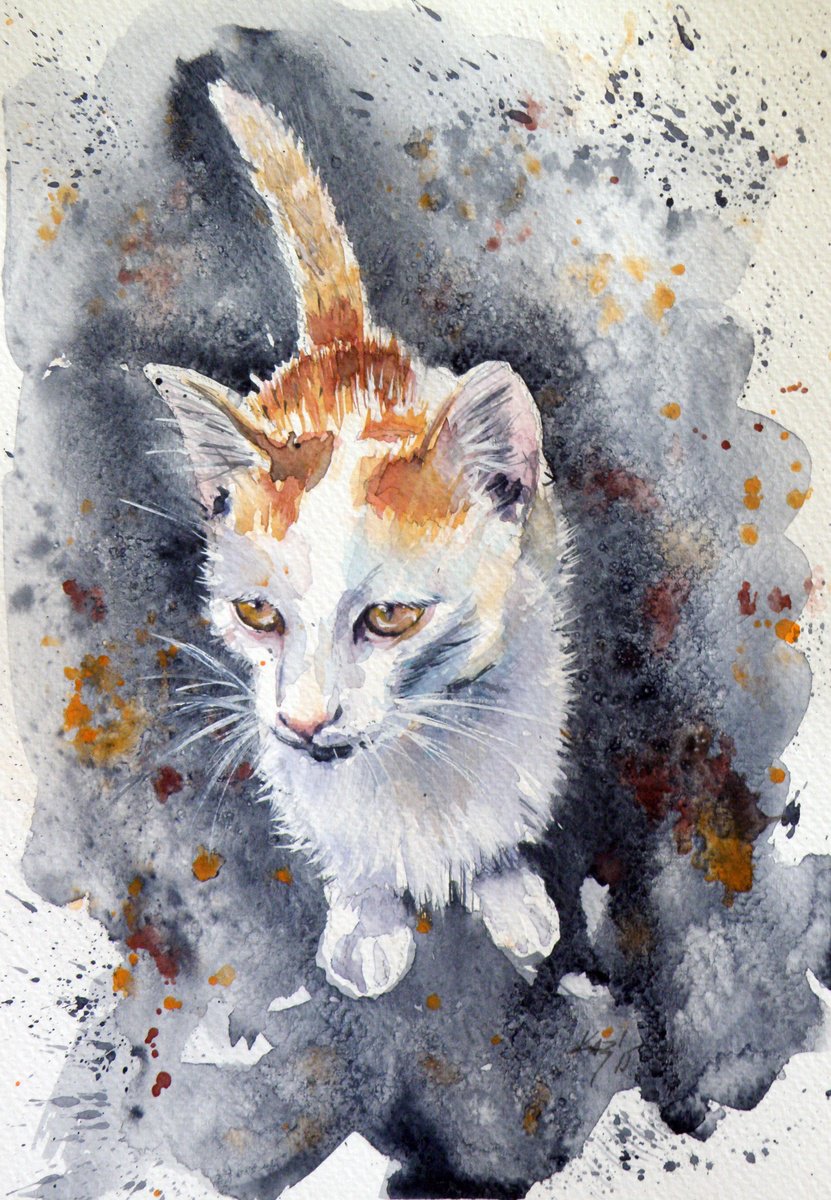 Sweet kitten by Kovacs Anna Brigitta