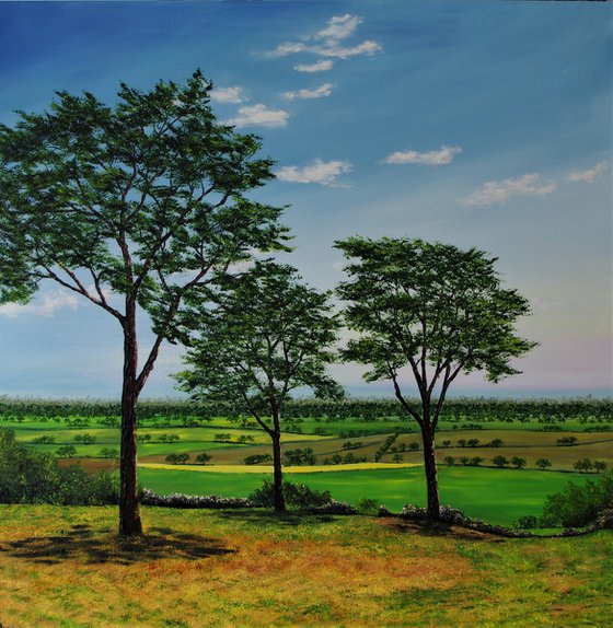 Cheshire plains  100cm x 100cm