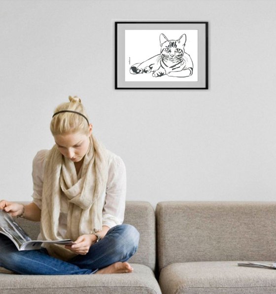 Cat I Animal Drawing