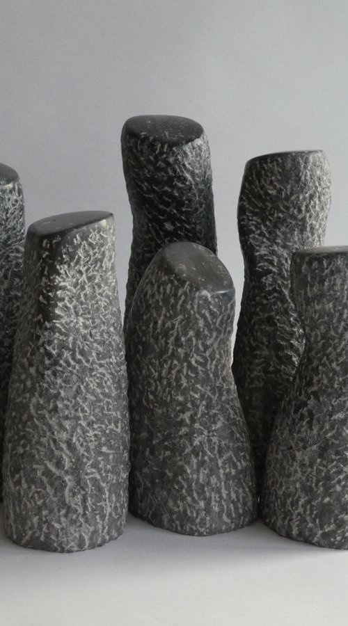 Company of Stones II by Fieke de Roij