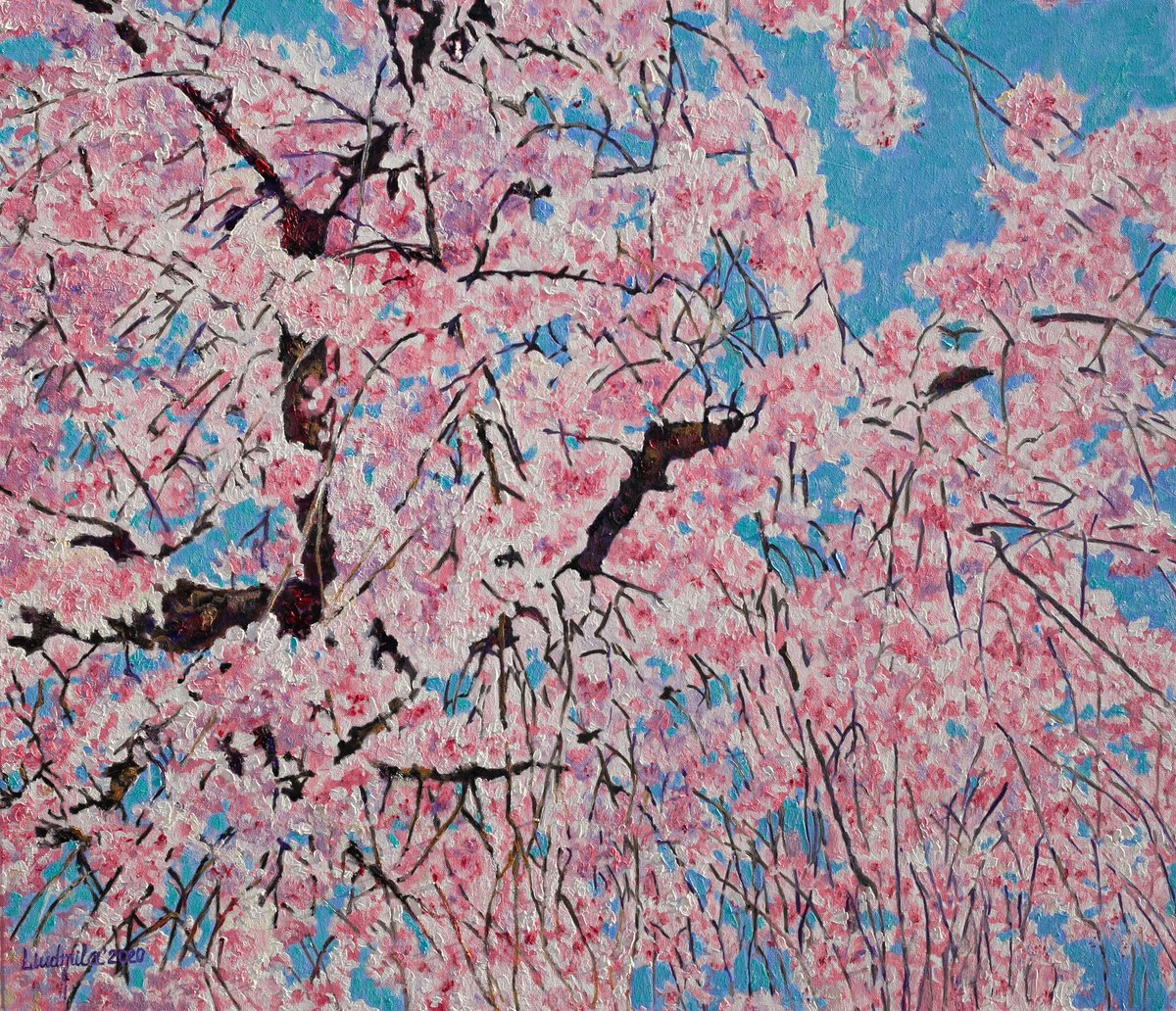Cherry Blossom by Liudmila Pisliakova