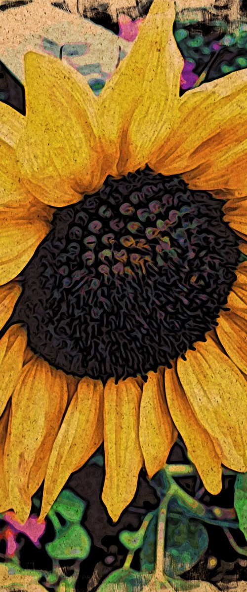 Sunflower, Japanese Woodcut Style by Barbara Storey