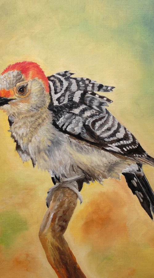 Pretty Woodpecker by Angeles M. Pomata