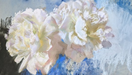 White Peony