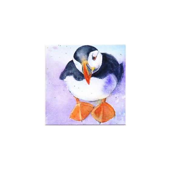 Puffin painting, Puffin in watercolour, Original Watercolour Bird painting, Puffin Art