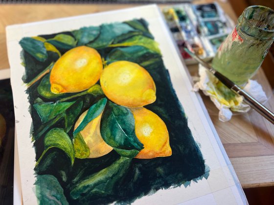 Study of Lemons