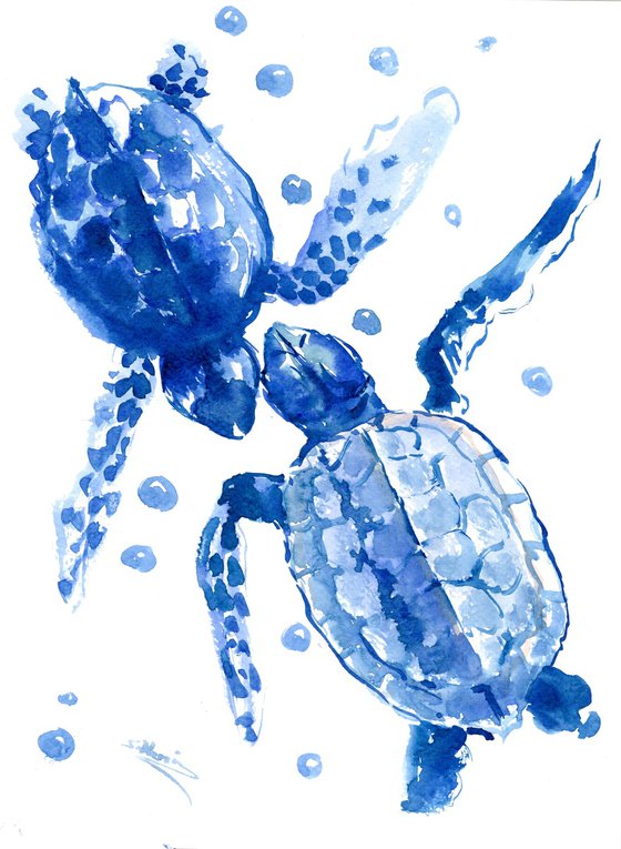 Two Blue turtles
