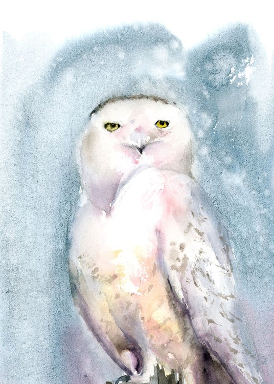 Snowy Owl on the stump