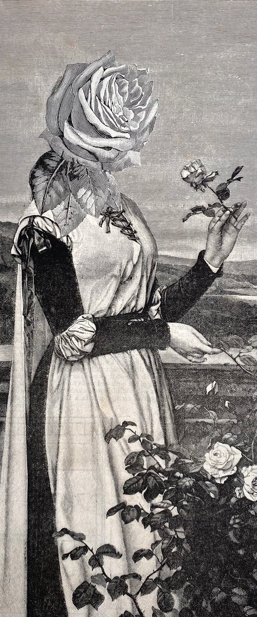 Romeo and Juliet by Tudor Evans