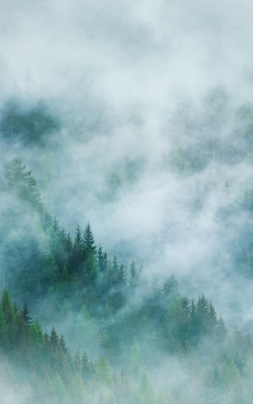 Mystic Forest III. - Foggy landscape by Peter Zelei