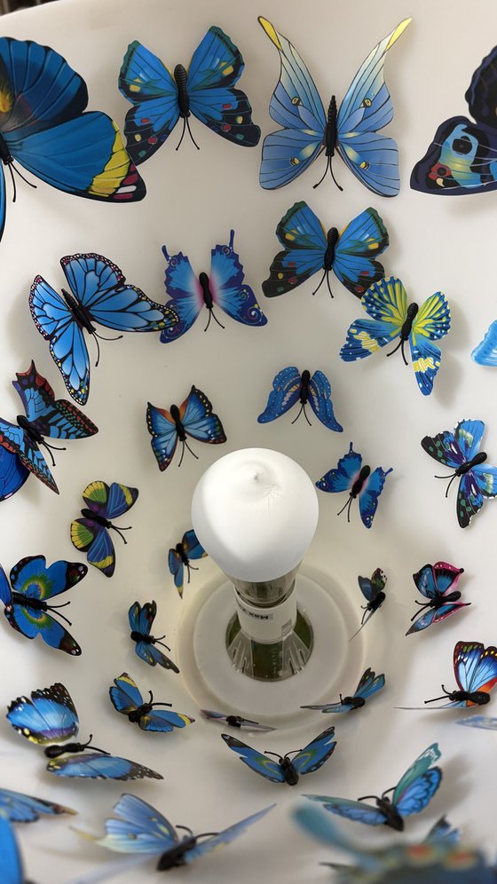 Butterfly roost