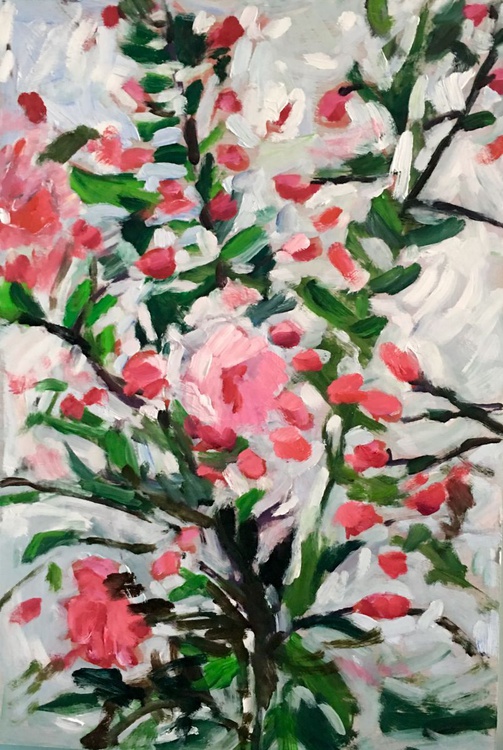 Cherry Blossoms Medium Sized Impressionist Stil Artfinder