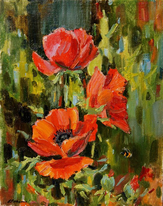 Poppies