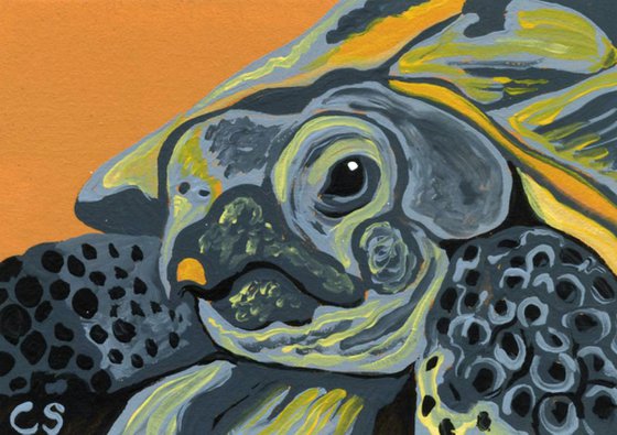 ACEO ATC Original Miniature Painting Russian Tortoise Wildlife Art-Carla Smale