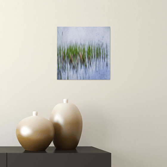 Reeds #1 Limited Edition 1/50 10x10 inch Photographic Print.