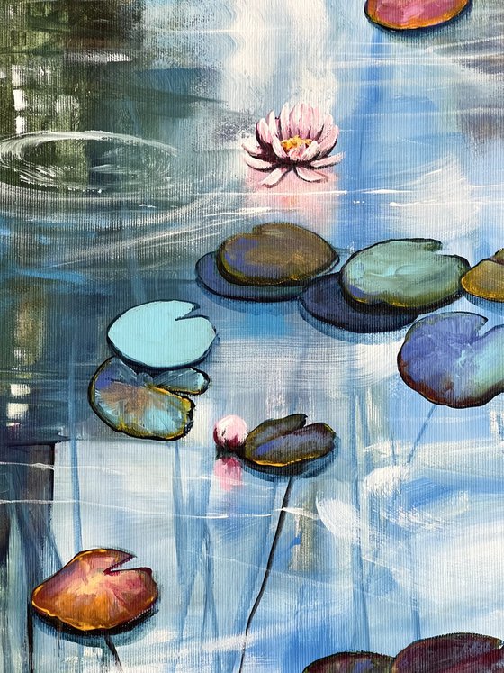 My Love For Water Lilies 3