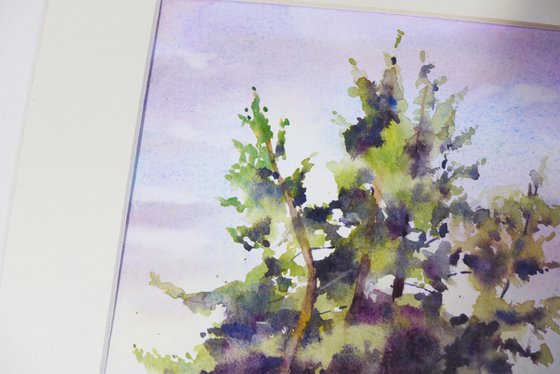 Lush pine trees in watercolor, Evergreen nature
