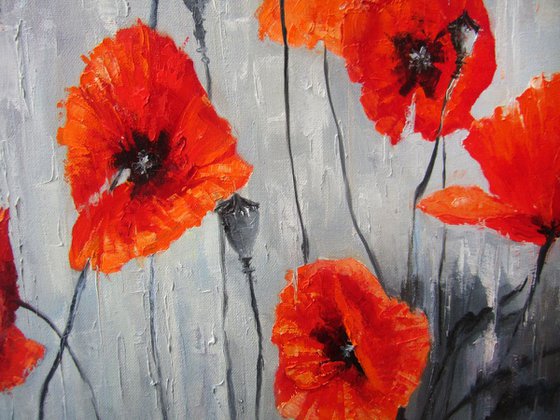 Poppies