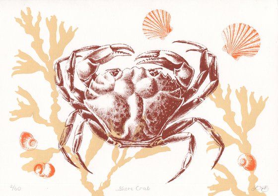 Shore Crab