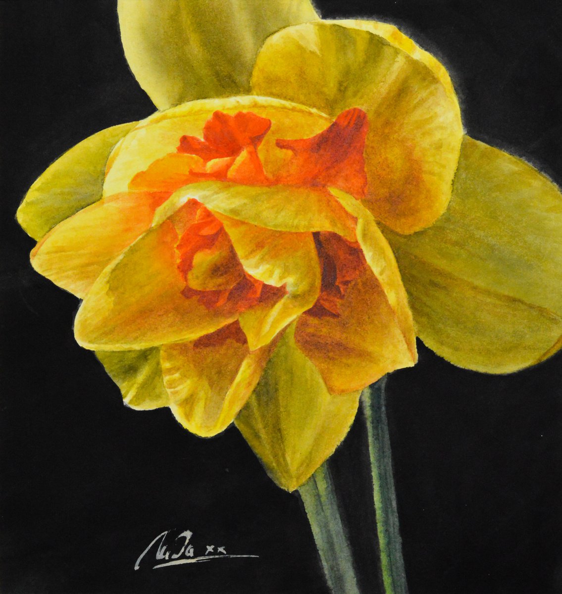 Narcissus by Lidiya Doukhnevitch