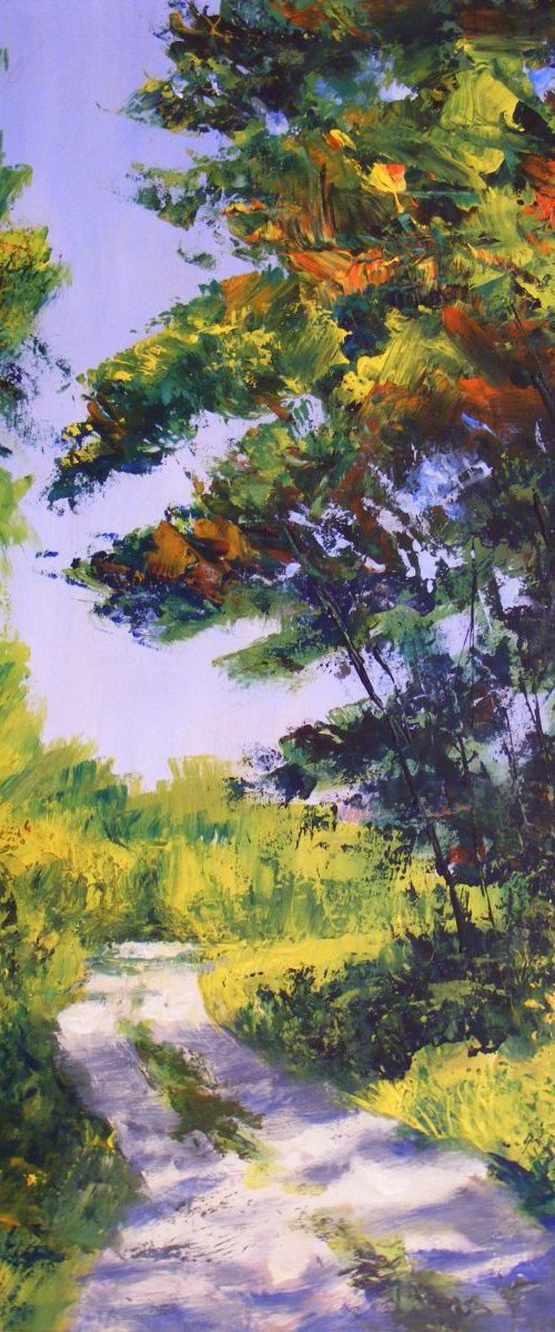 "Summer shadows on rural road" by Ivan  Grozdanovski