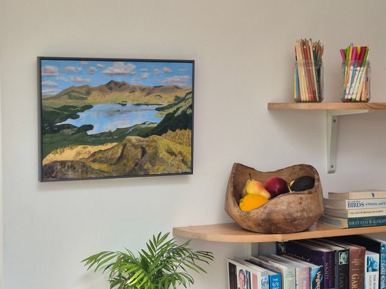 Derwentwater: A Lake District Landscape