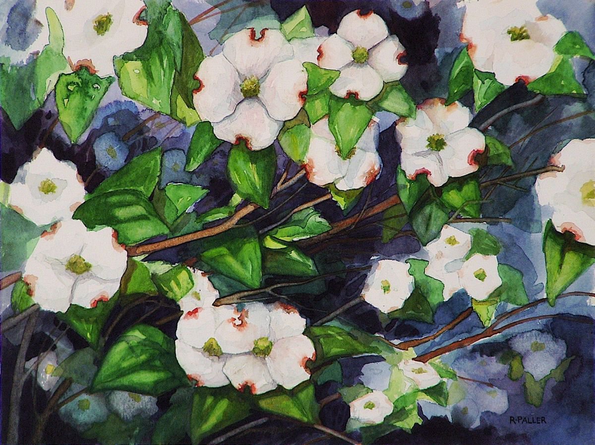 Photorealistic Botanical Watercolour By Rick Paller, 12 X 9", Dogwood Flowers, Original Artwork