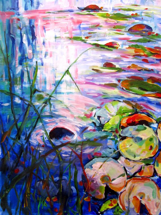 Colorful water lilies IV