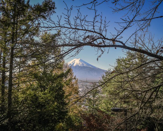 GLIMPSE OF FUJI II