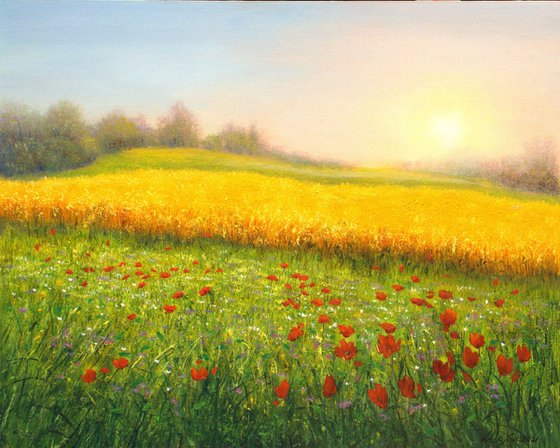 Wheat field in summer