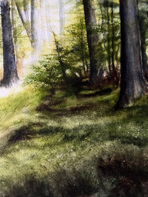 Forest Clearing